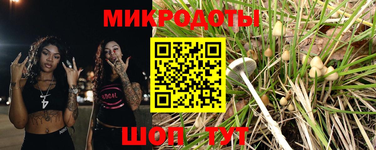 Псилоцибиновые грибы мицелий Кохма