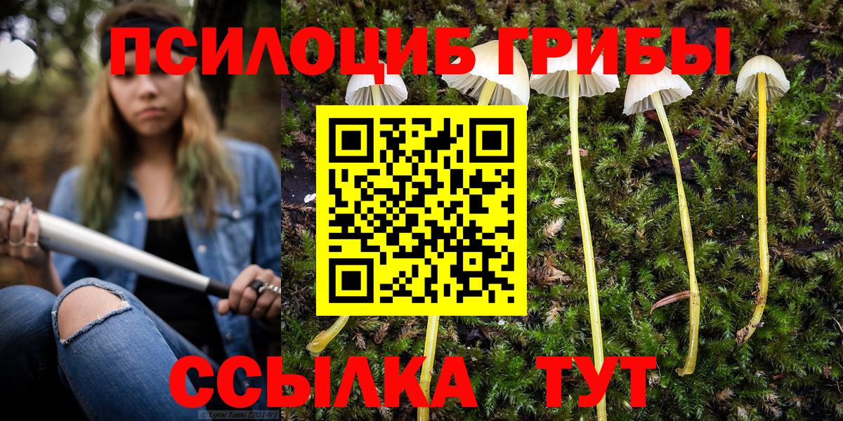 Галлюциногенные грибы MAGIC MUSHROOMS  Вход с VPN  Кохма 